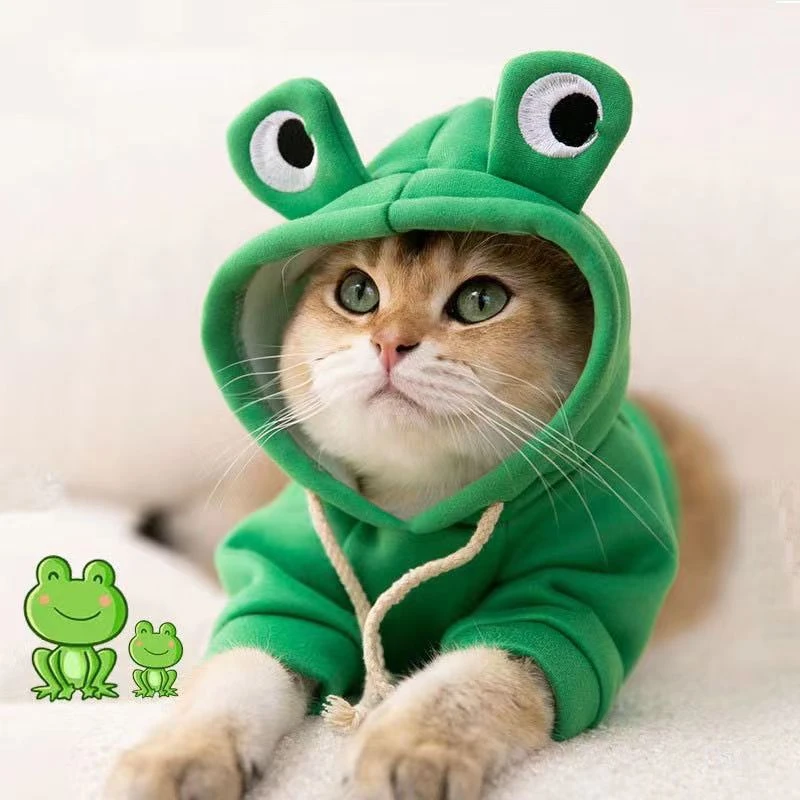 搞怪小猫咪衣服秋冬装幼猫猫布偶蓝猫宠物防掉毛秋冬季卫衣保暖