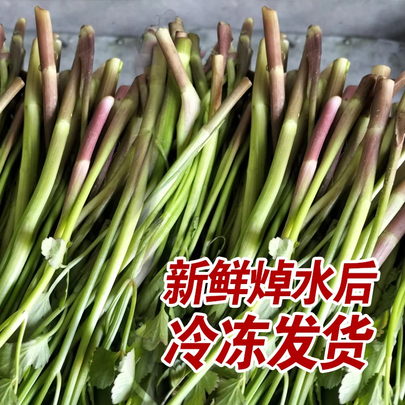 东北特产山野菜水芹菜农家自种野芹菜500g包邮当年新货焯水速冻