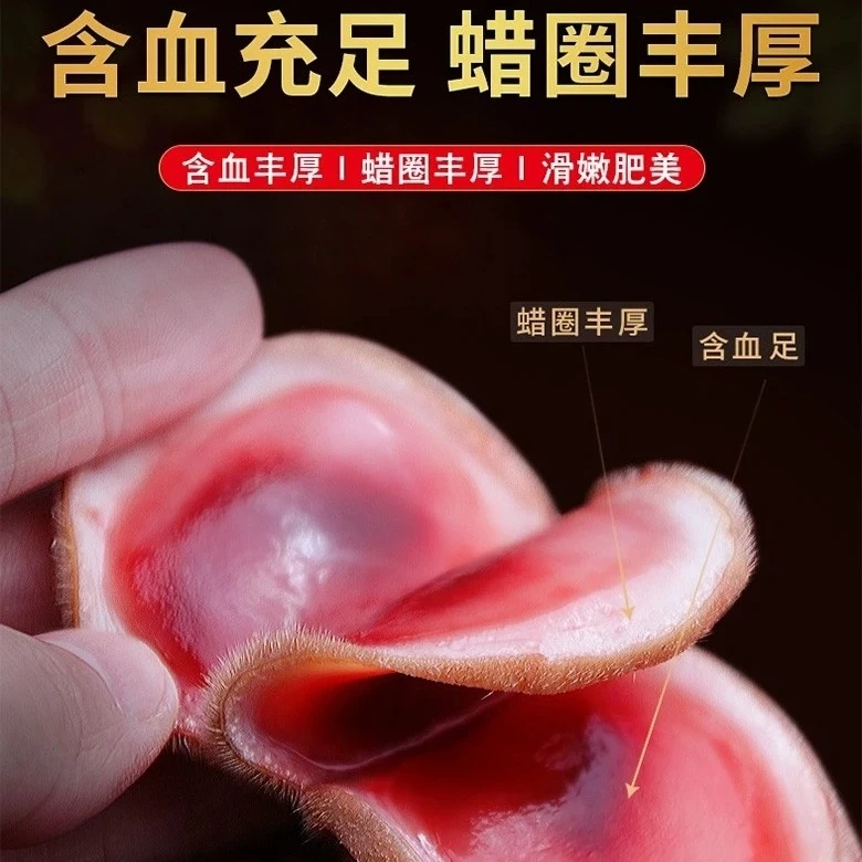 新鲜鹿茸鹿乡镇产地直发