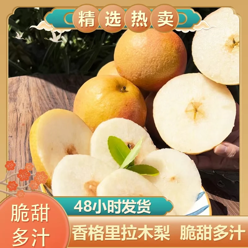 正宗香格里拉当季高原木梨优选4枚装（绿色食品认证）