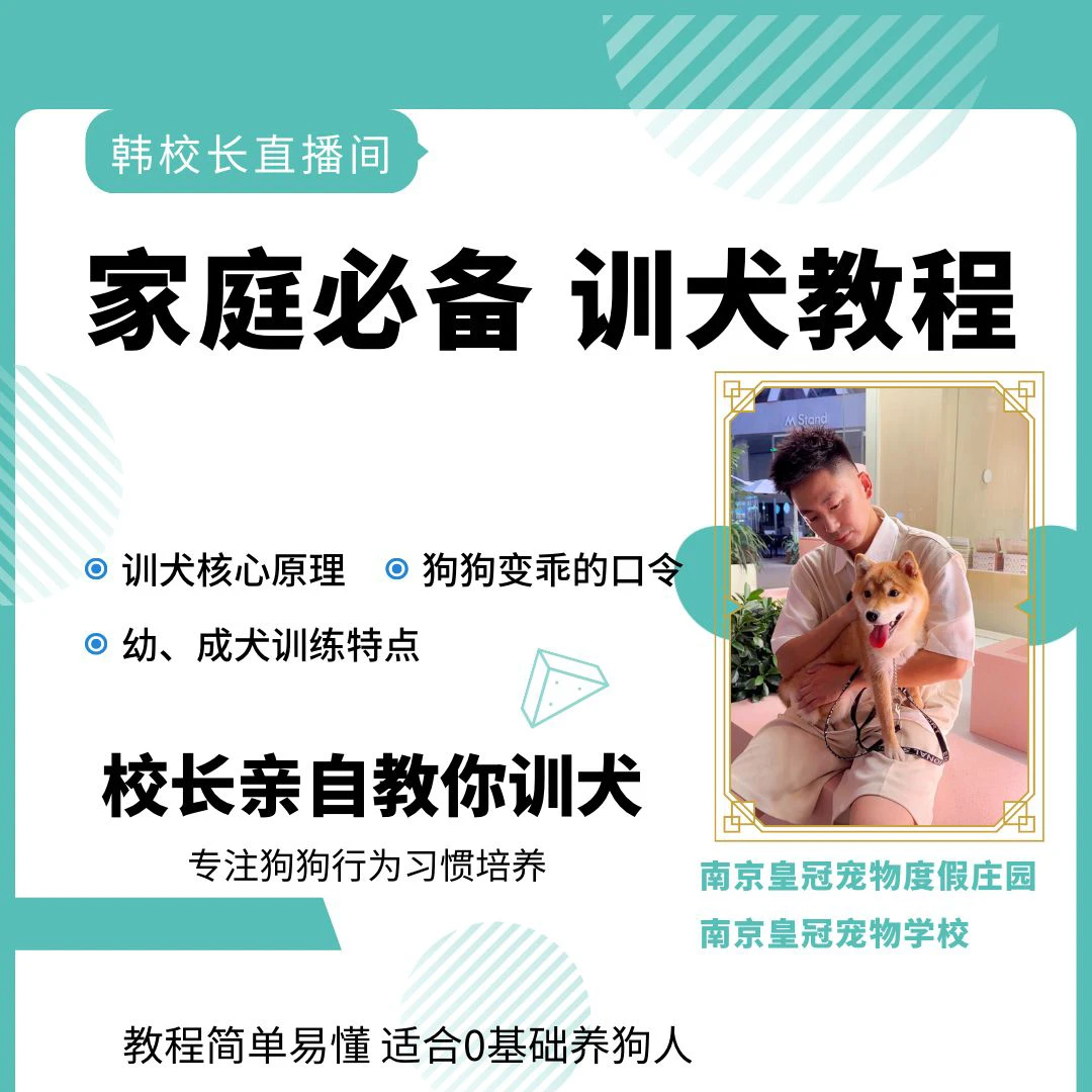 [训犬教程]校长手把手教你训犬指导