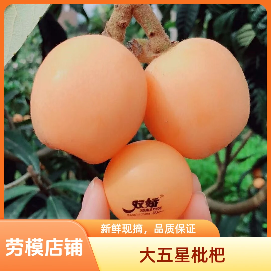 【白雪公主杯苗】+【果真好4号杯苗】+【春花1号】组合下单更省钱更方便