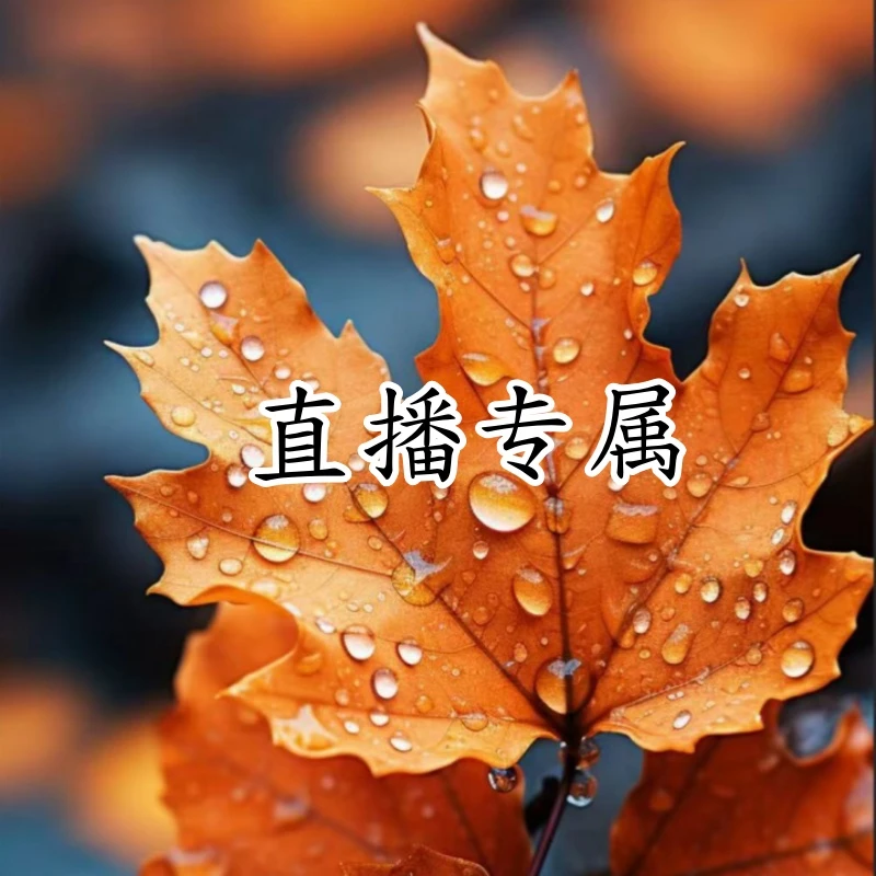 汕头厂-【春秋袜子-4双】直播间男女宝宝不指定-专属链接