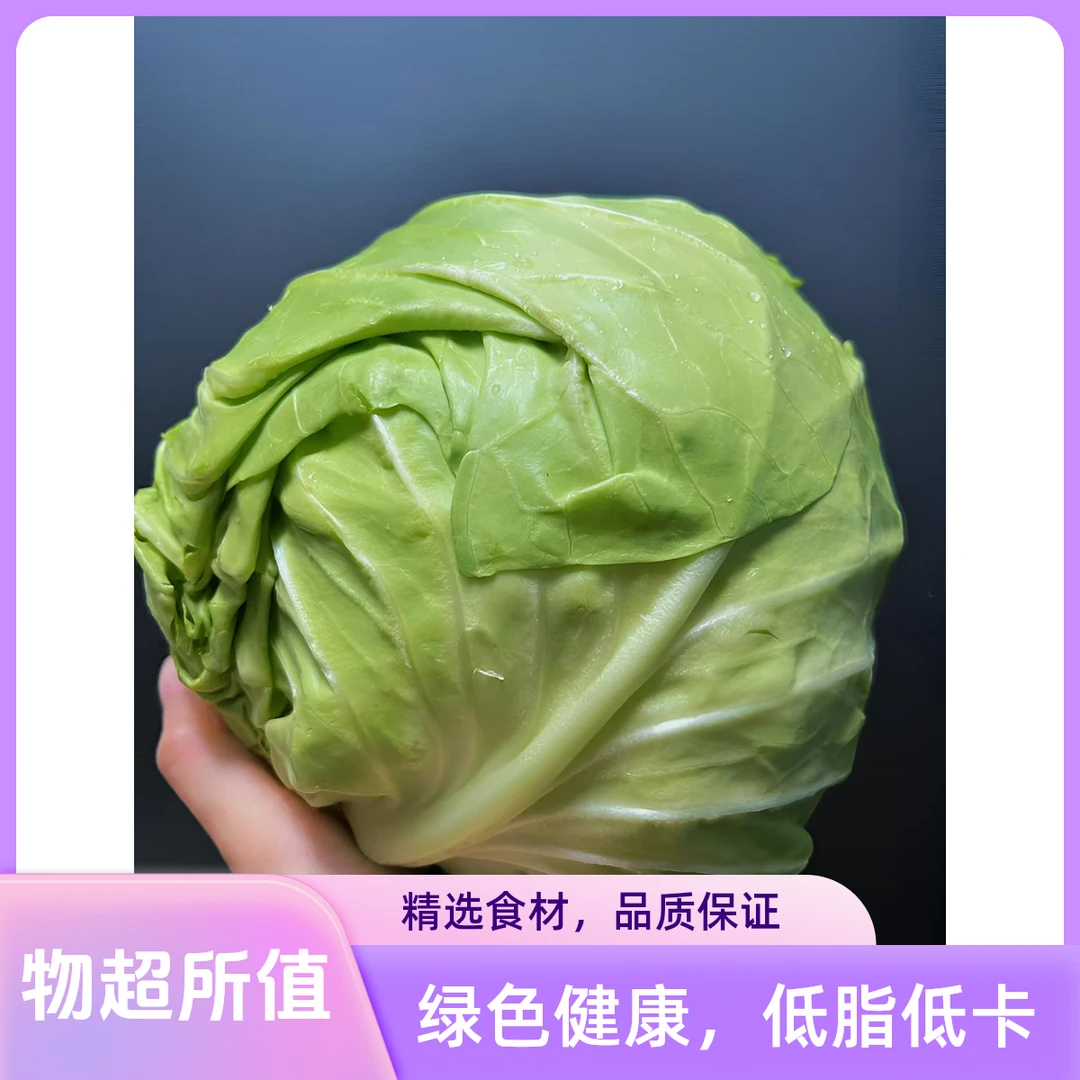 云南大山高山露天种植绿色甘蓝