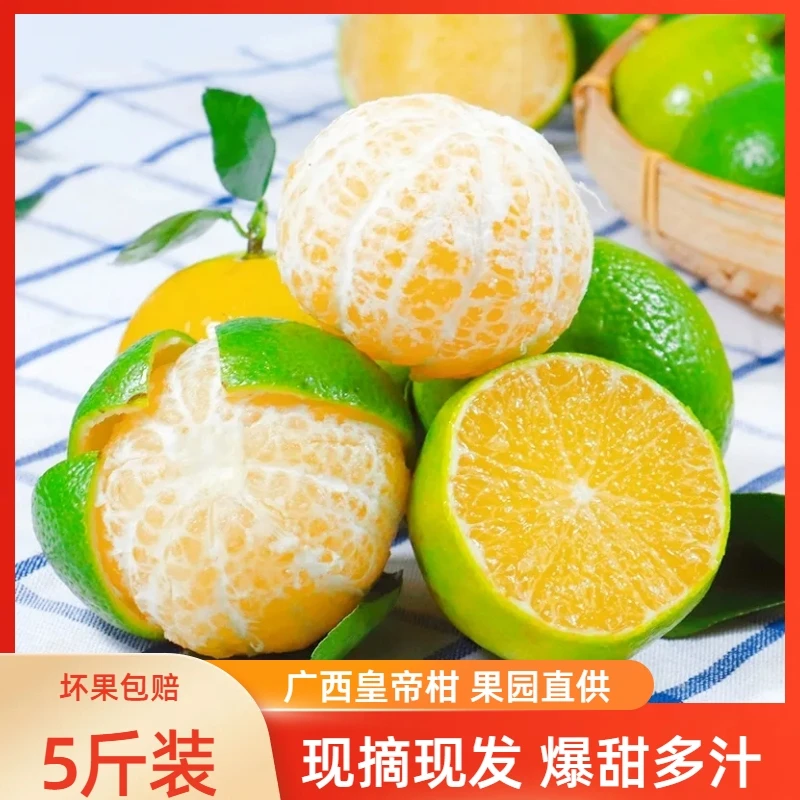 广西皇帝柑5斤皮薄多汁新鲜采摘水果香甜好吃柑橘产地直发农产品