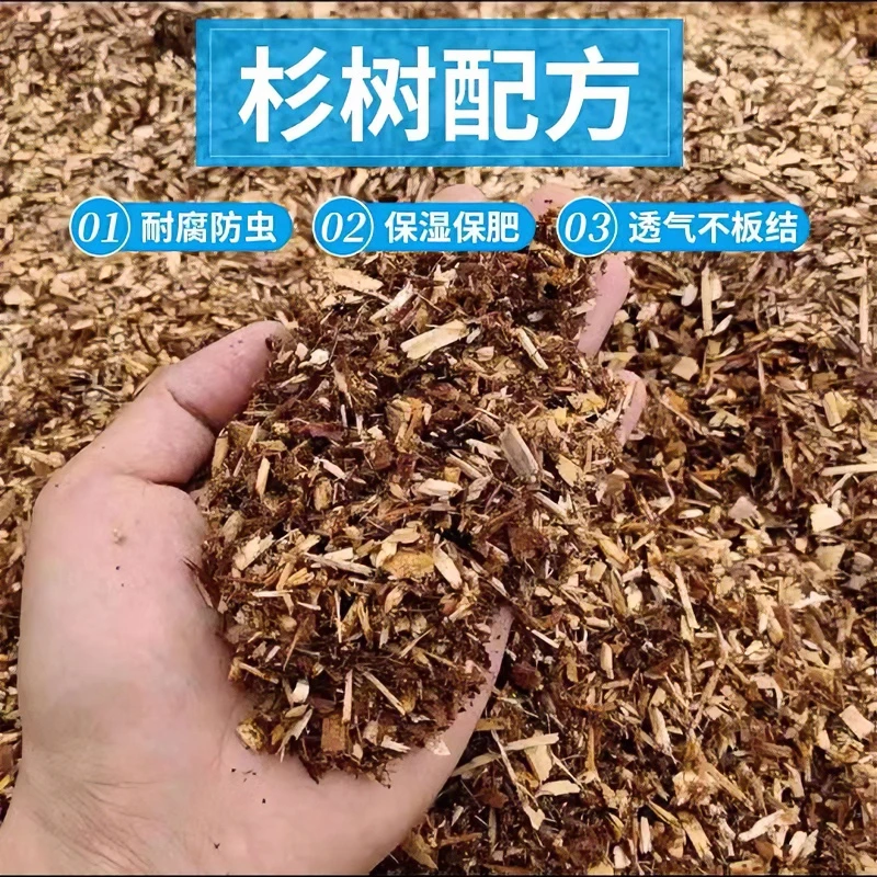 兰花土【兰科植物营养土】 疏松壮根护根专业新型配方特惠养兰