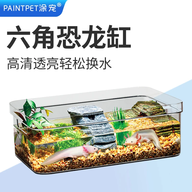 手提六角恐龙专用缸桌面缸水陆缸办公室鱼缸小型乌龟饲养缸乌龟缸