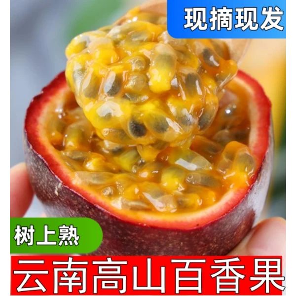 【树上熟】云南高山紫皮百香果 大果 应季水果，酸甜可口（新鲜现摘）