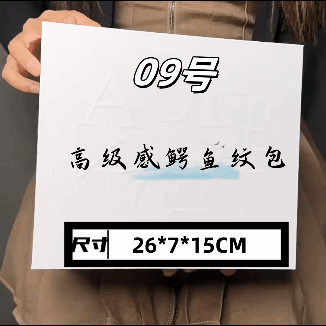 09号（H）高级感鳄鱼纹单肩包202#