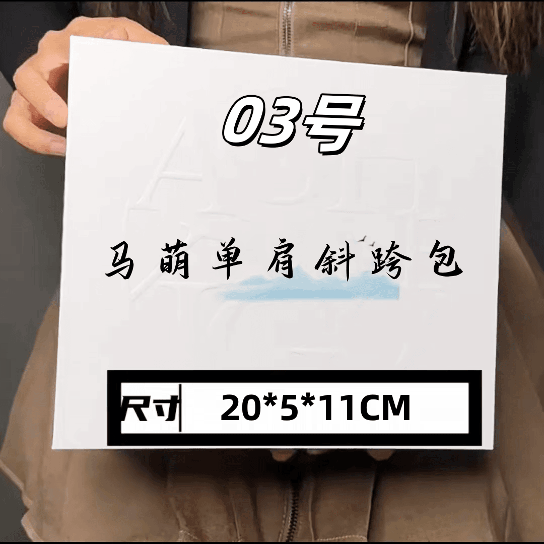 03号（H）Marmont链条包8219#