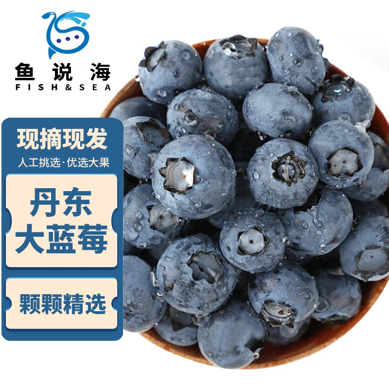 【鱼说海】丹东新鲜精品 蓝莓 20-22mm   收到冷藏2-3小时口感更好