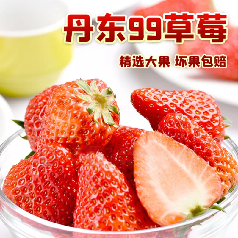 【富牛牛推荐】丹东99草莓 中果 900g/盒 （单果重20-30克） 当季