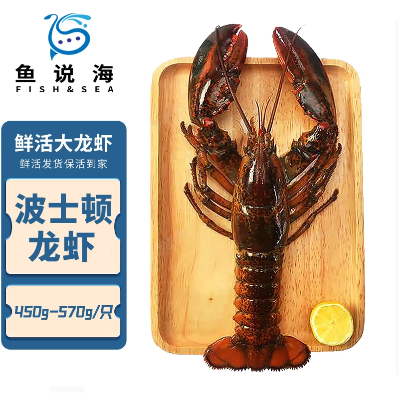 【鱼说海】波士顿龙虾 2只（450g-570g/只）鲜活大龙虾