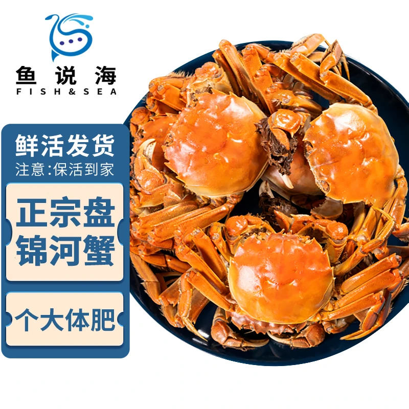 【活蟹】鱼说海 盘锦河蟹 全母 1.2-1.6两/只 【优选】