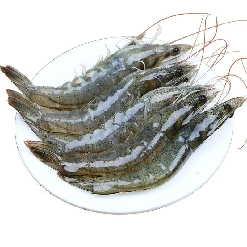 【红山店】鲜活青虾3斤—保鲜不保活（2030大号海水大虾）