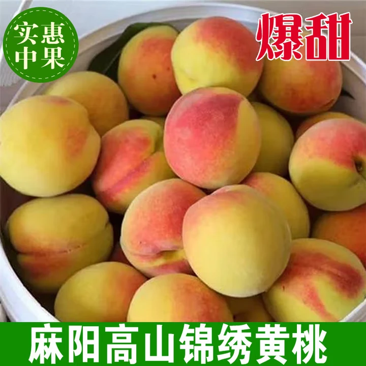 湖南麻阳锦绣黄桃 产地直供 天然桃子整箱黄桃 新鲜多汁 香甜鲜美