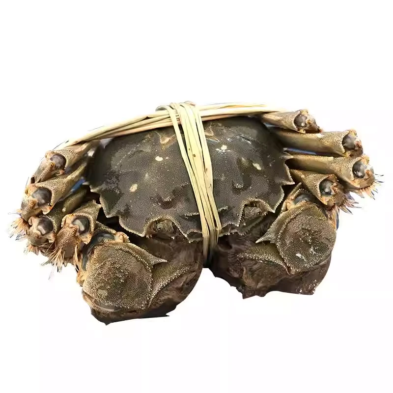 大闸蟹(母) （85-105g/只）（联营）约2两