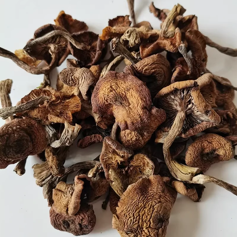 【顺丰包邮】农户头茬东北野生榛蘑特产无根无沙自然晾晒小鸡炖蘑菇