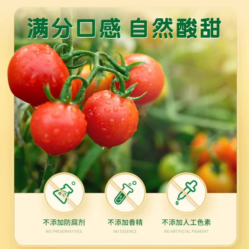 新疆番茄一斤装草莓番茄山东省