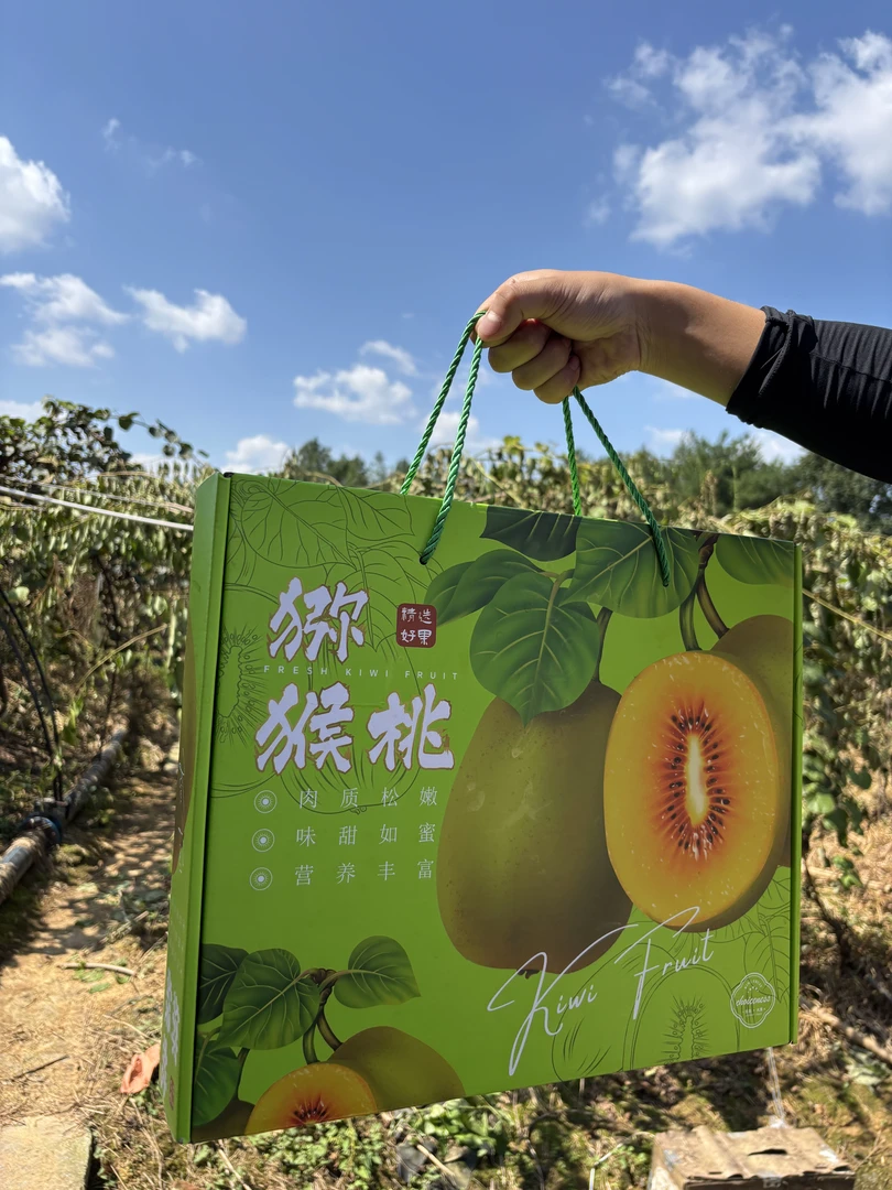 【精选礼盒包装】四川黄心猕猴桃新鲜现摘香甜多汁当季营养水果