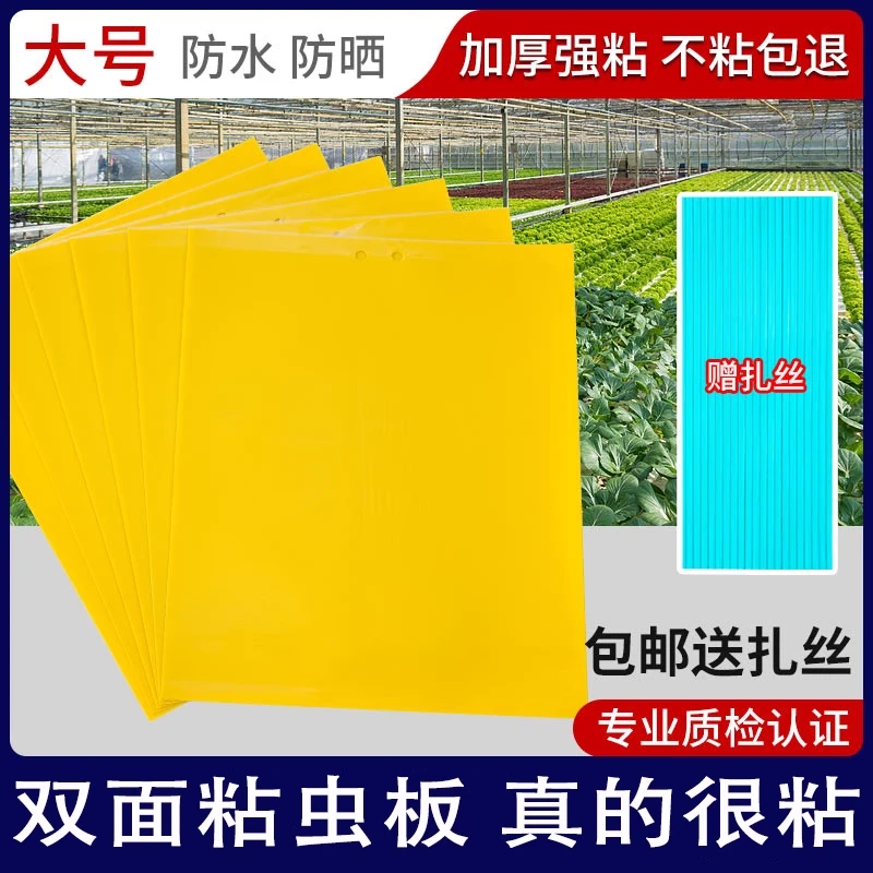 【大棚专用】双面粘虫板贴纸强力灭杀小飞虫沾果蝇诱捕好物捉蚊苍