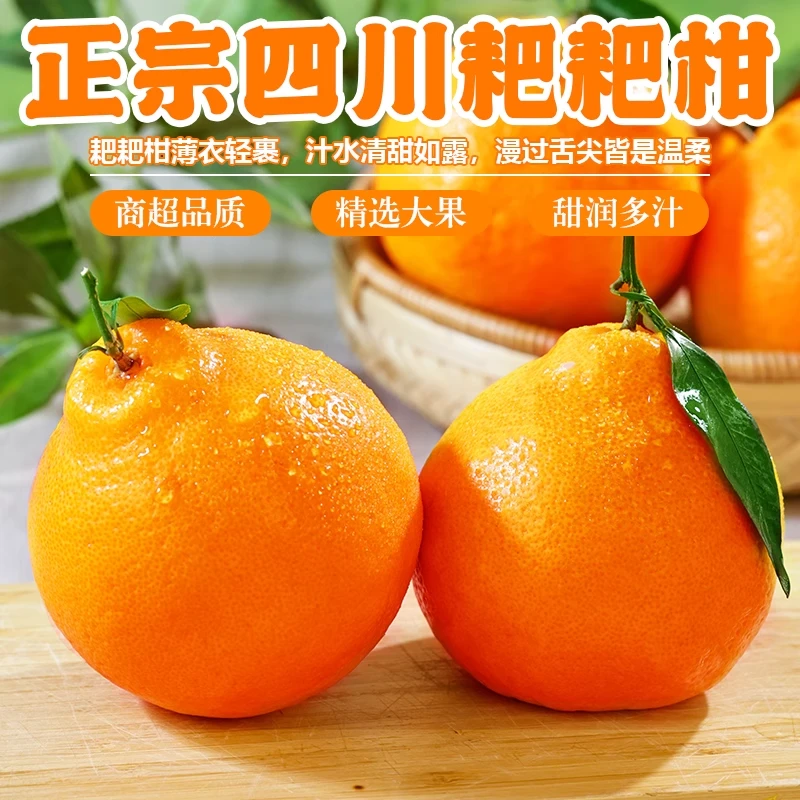 正宗四川南充春见耙耙柑粑粑柑杷杷柑新鲜水果整箱当季丑桔橘子