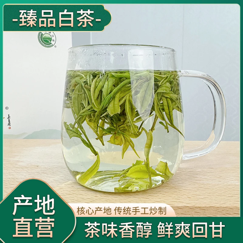 24年（兰香小芽）开园头春采摘安吉白茶春茶春季纯正兰花香浓郁