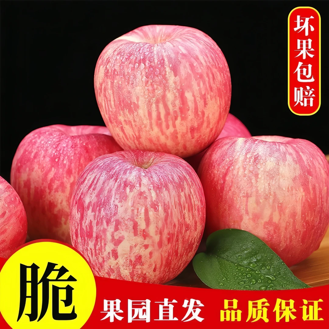 2024发货新果陕西红富士苹果当季新鲜冰糖心营养苹果  2斤5斤10斤