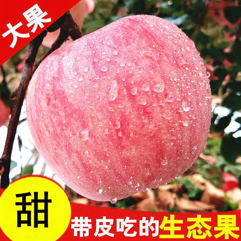 现摘陕西农家脆甜红富士苹果当季新鲜多汁细腻孕妇水果2斤5斤10斤
