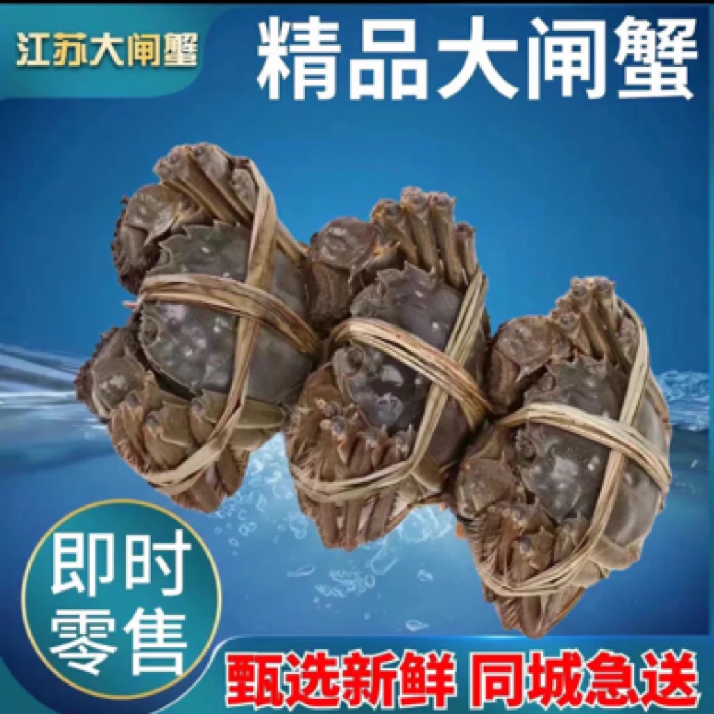 江苏3.6两母蟹（3.2-3.7两）/只活蟹
