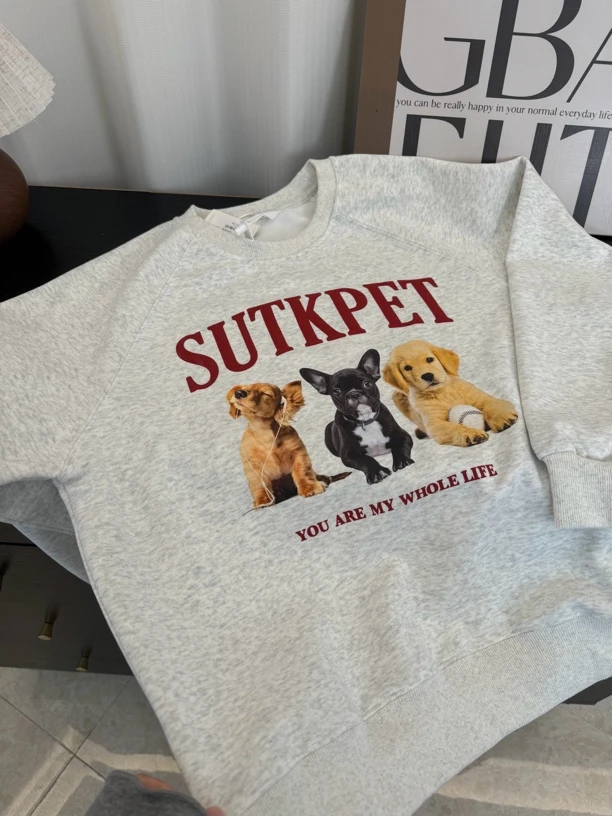 2025新款秋季卡通休闲卫衣百搭小众宽松印花圆领韩版设计感时尚