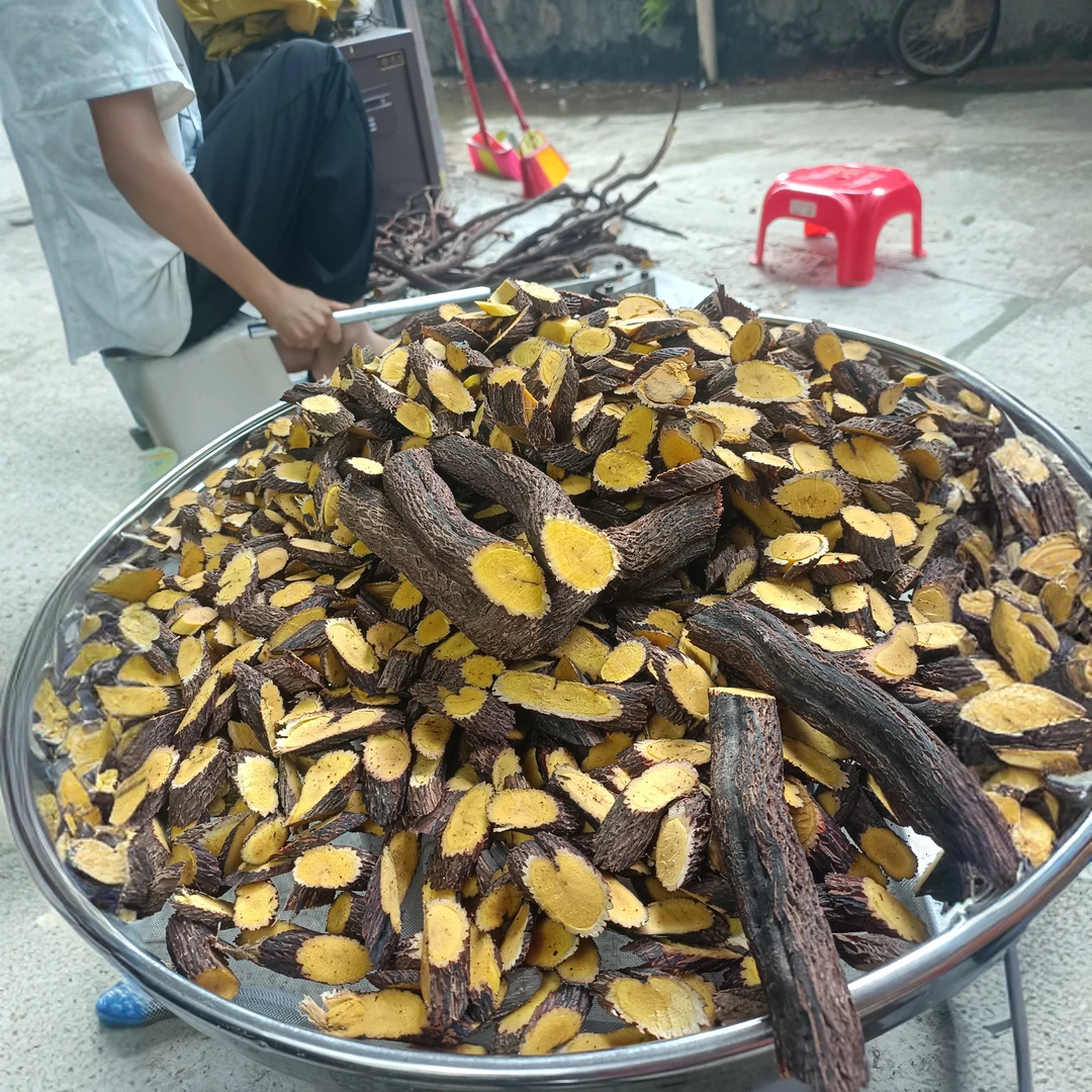 广西深山铁包金根