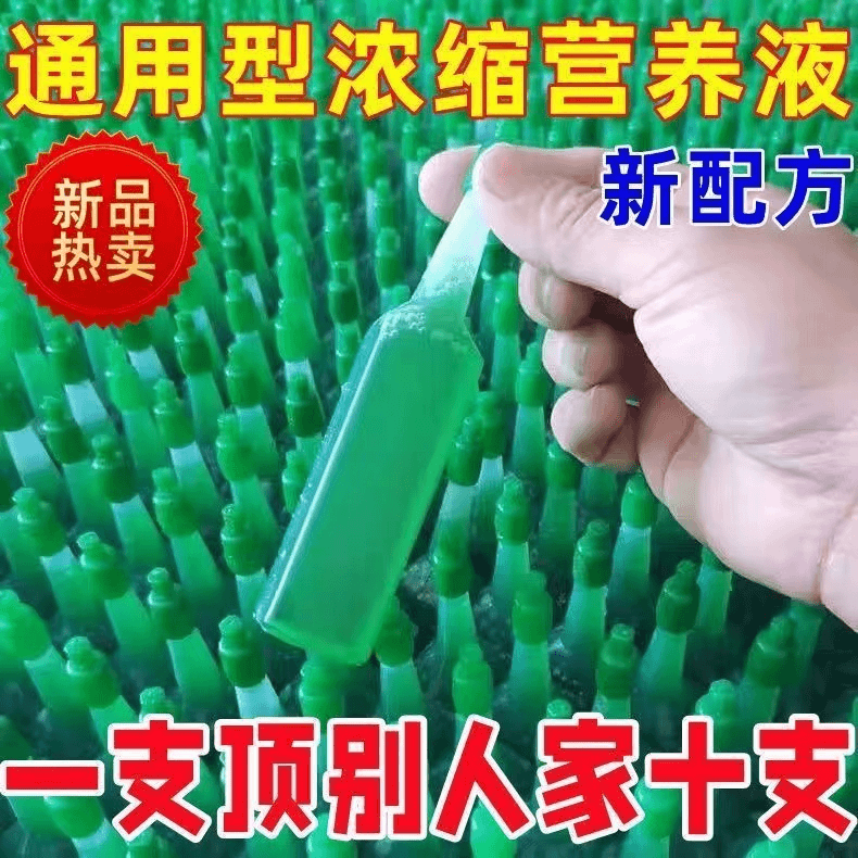 营养液通用型土培水培绿萝花草水养植物观音竹鲜花
