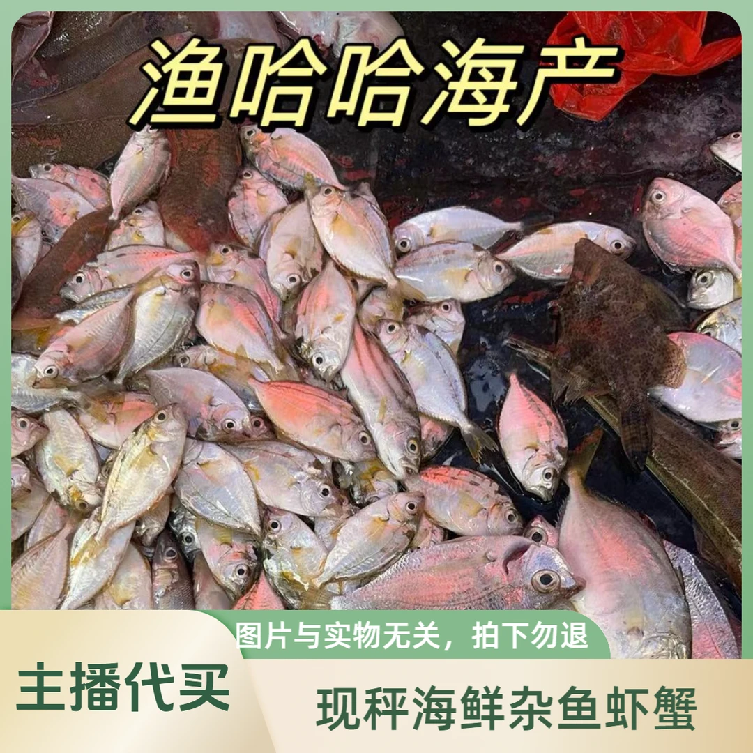 【渔哈哈阿君1】现秤海鲜杂鱼虾蟹1-100斤（改链接上架拍下勿退)