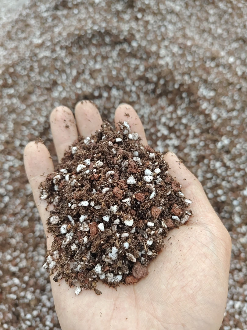 多肉种植专用颗粒土