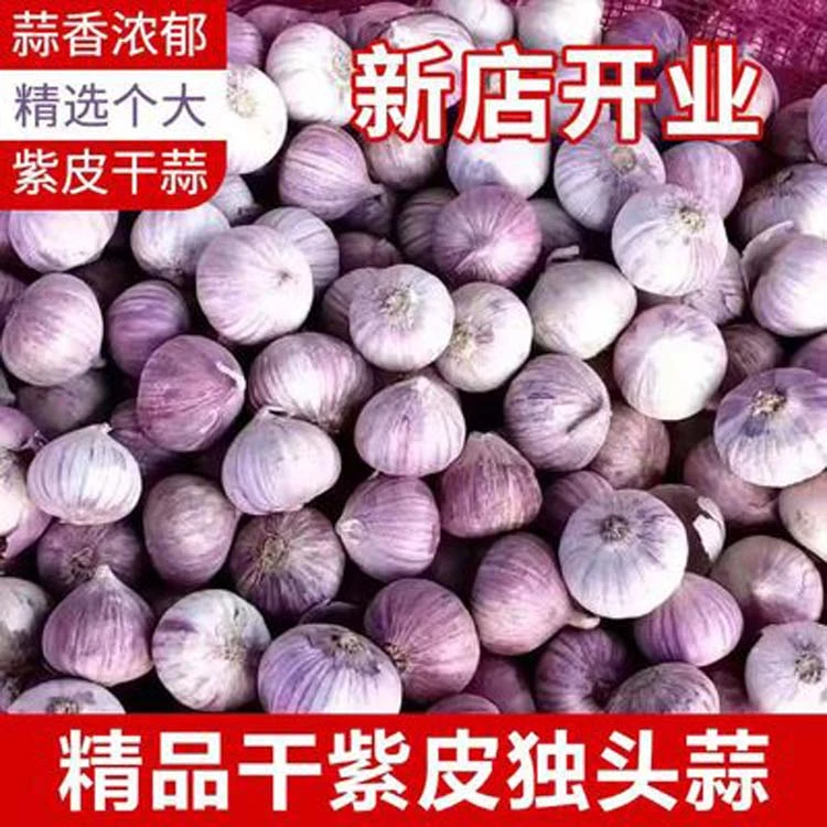5蒜云南独头蒜紫皮独蒜紫皮大蒜头蒜特价