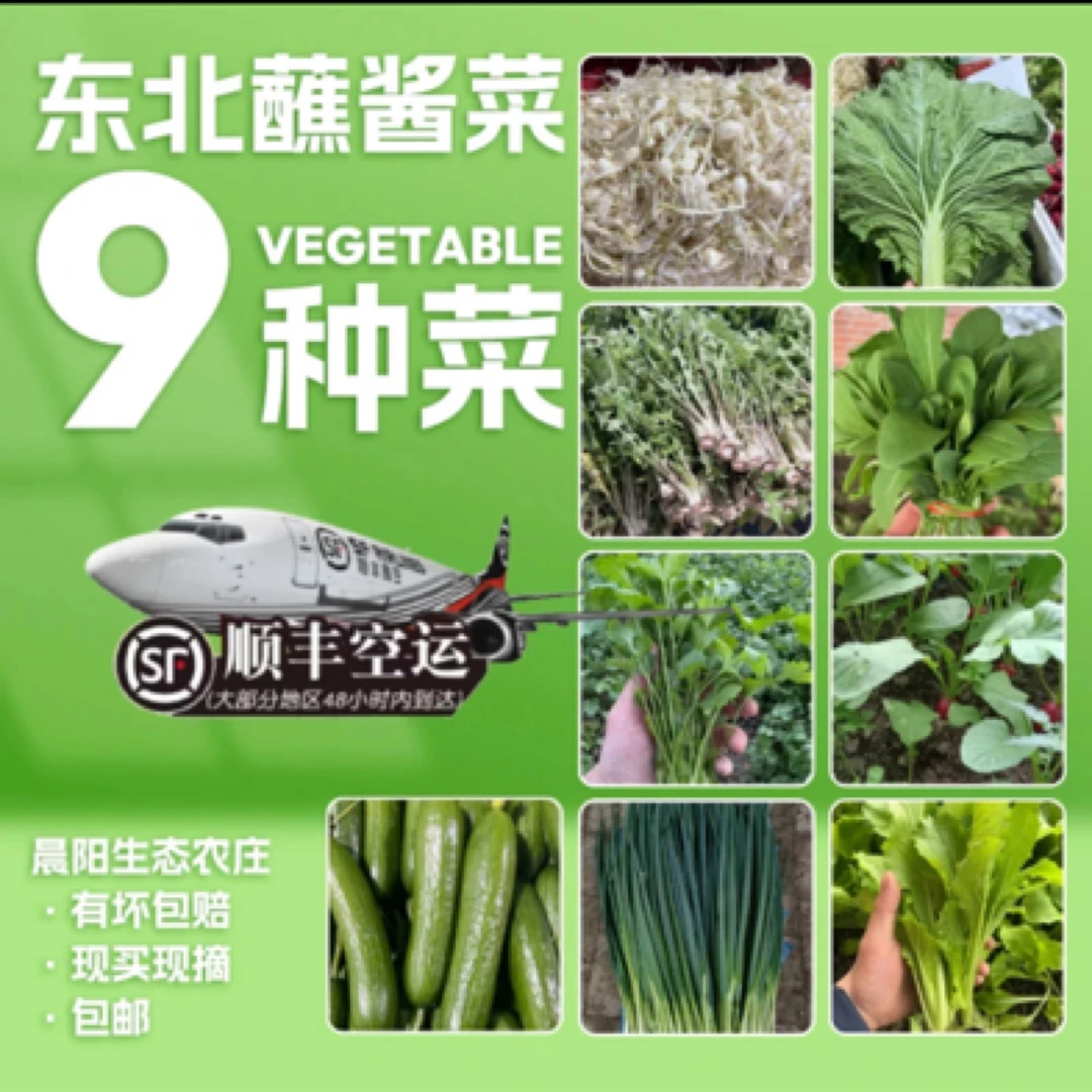 晨阳家东北小嫩蘸酱菜9种菜组合（顺丰空运）