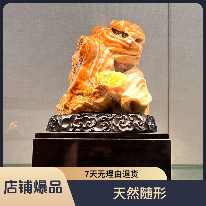 阿拉善戈壁石奇石摆件盆景石鱼缸石沙漠漆老皮石毛绒筋脉石眼睛石