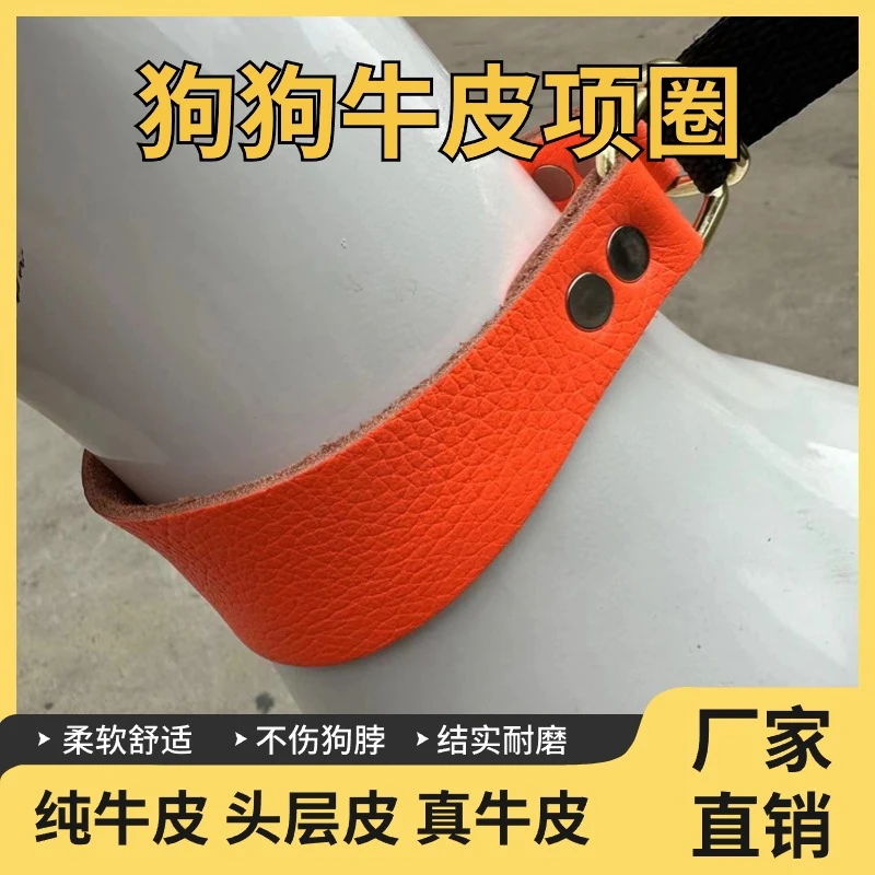 橘色项圈头层牛皮高品质狗狗项圈一拉紧调节脖套高端