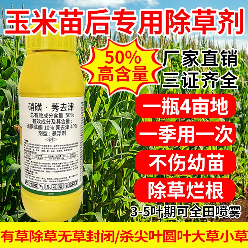 玉米苗后除草专用剂 50%硝磺莠去津苞米地杂草烂根型封杀双效农药