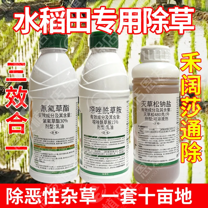 稻田除草剂水稻旱稻田苗后专用除草剂恶唑氰氟草酯水稻田灭草农药