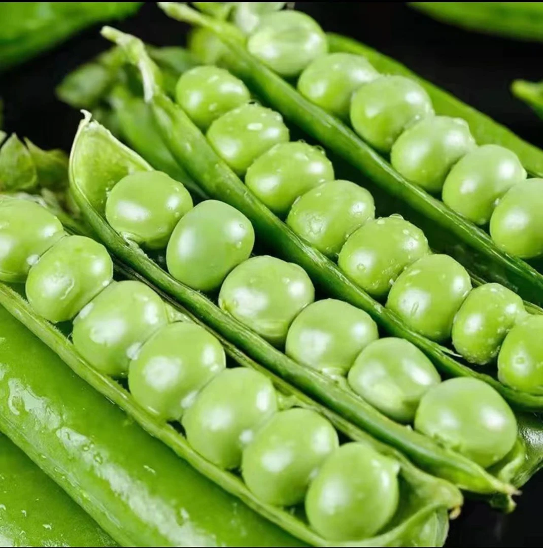 新鲜采摘 云南高山新鲜豌豆 带壳发货蔬菜水果甜嫩3/5/9斤