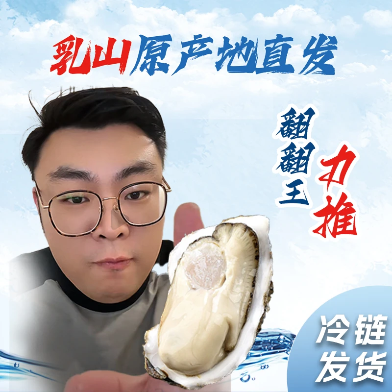 【翻翻王专属】乳山生蚝牡蛎 原产地冷链包邮 鲜活到家不肥包赔