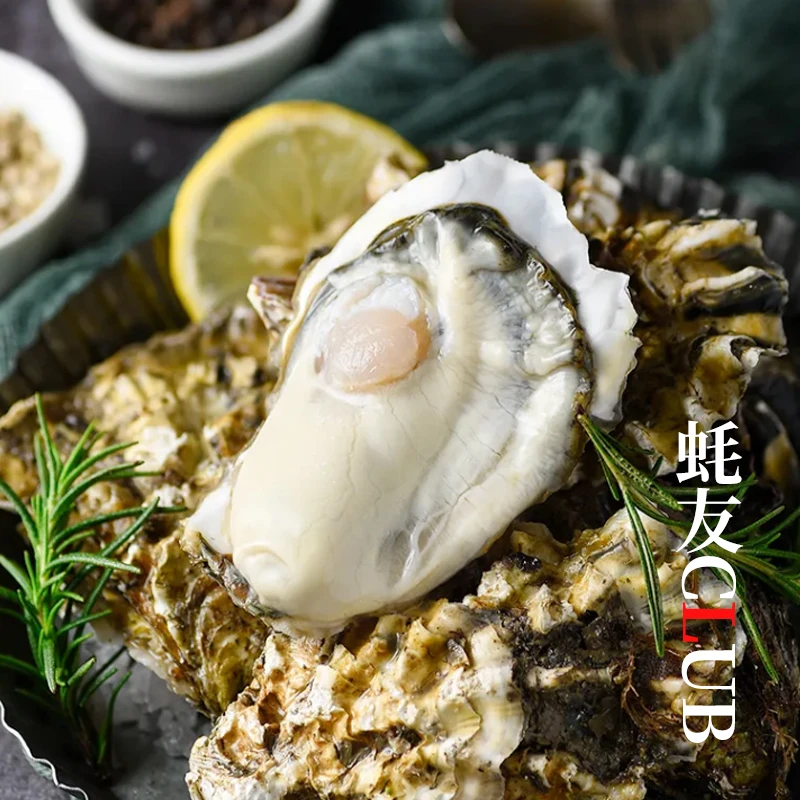 【蚝友CLUB】土豪专享！乳山生蚝牡蛎 原产地冷链包邮 鲜活到家