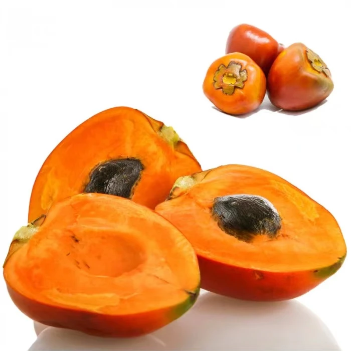 桃果椰子刺棒棕实生苗基地直发