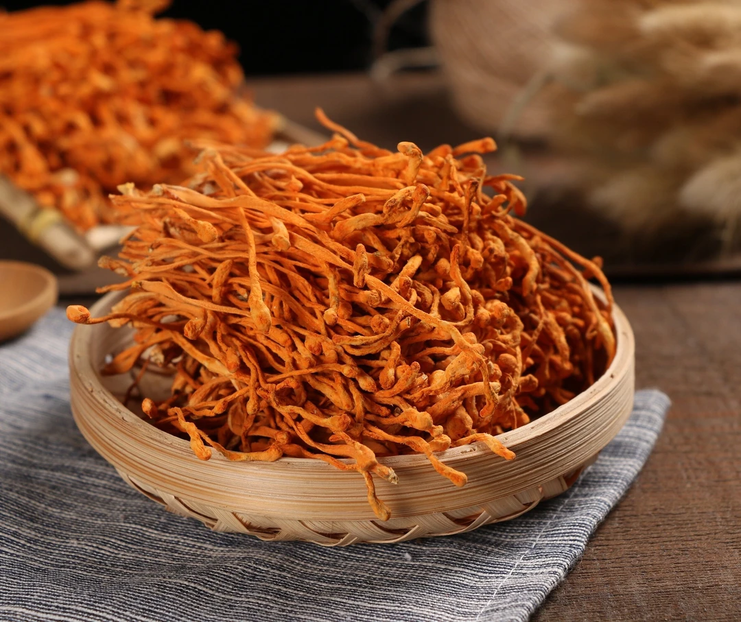 【小丸子】虫草花  干货250g