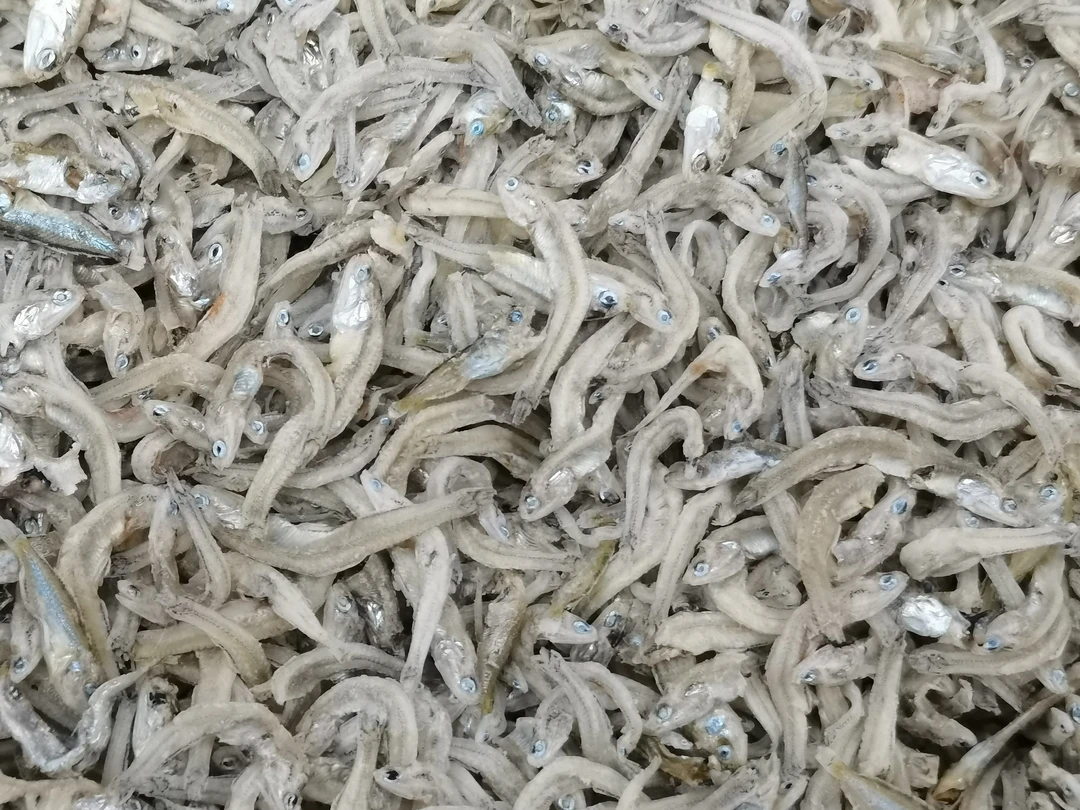 【小丸子】丁香鱼仔 400g