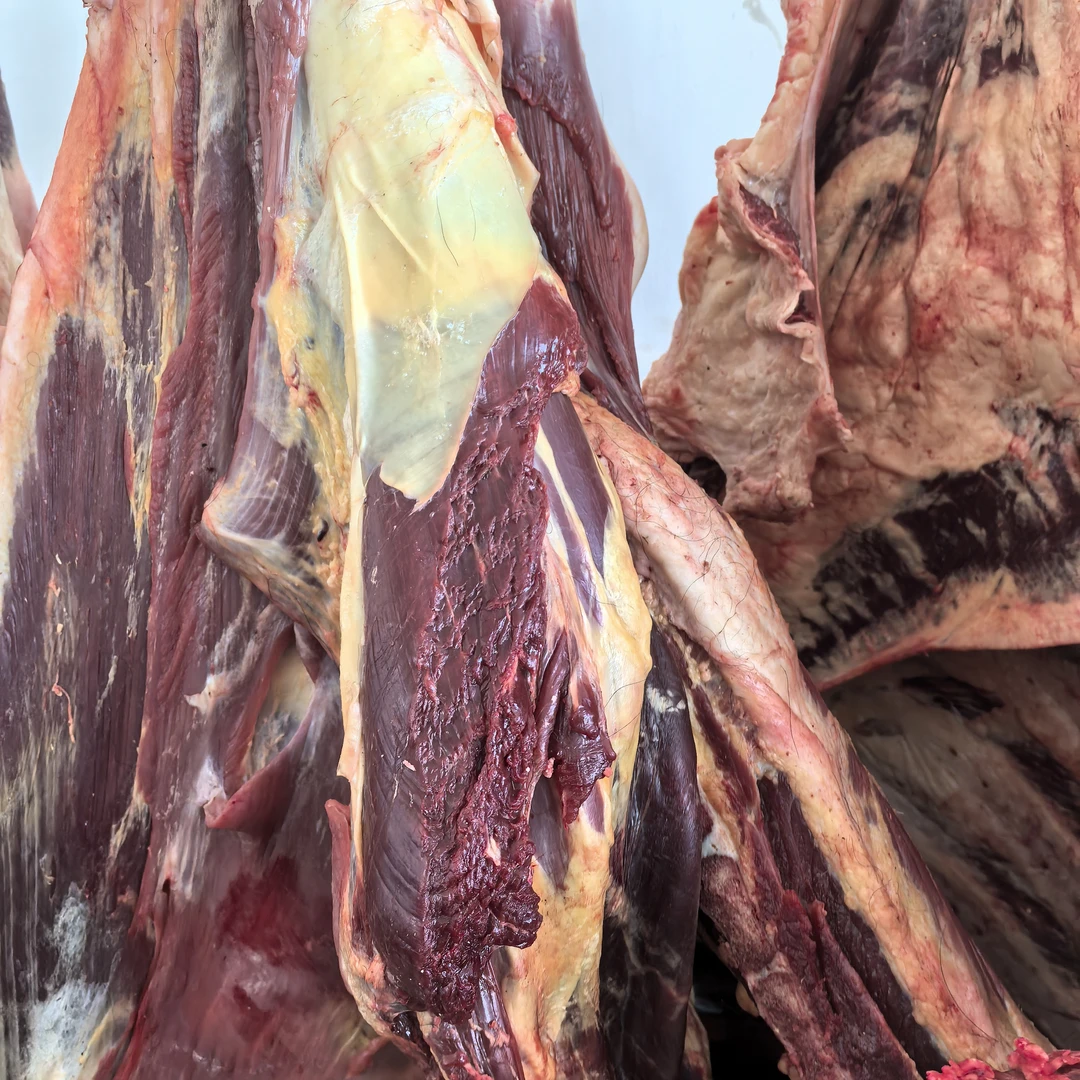 新疆哈密市八大石山里的牦牛肉