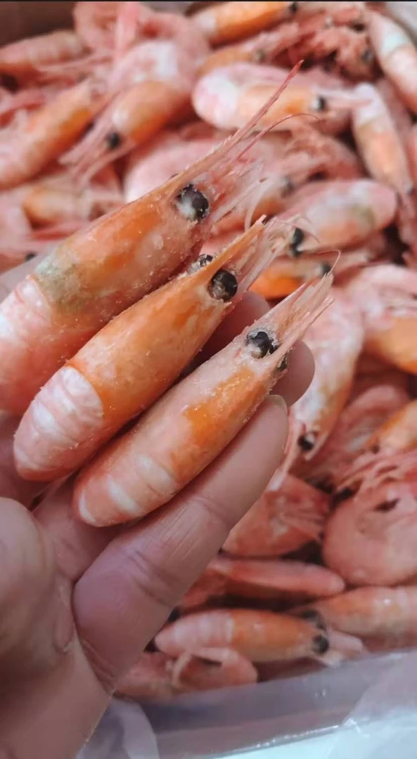 头子甜虾，头子率%90以上，头上有青海藻印属正常介意者慎拍