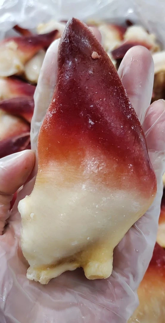 超大北极贝，包邮（新疆西藏海南除外）